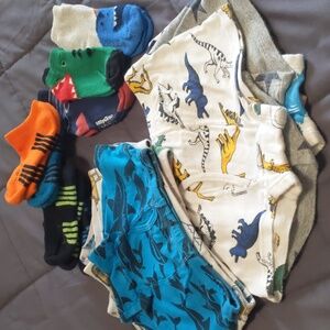 Boys Underwear And Socks Bundle